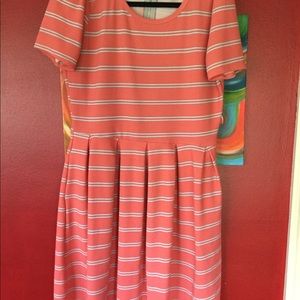Bright and beautiful LuLaRoe Amelia